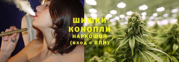 твердый Няндома