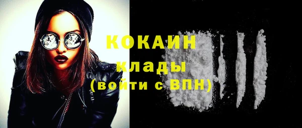 твердый Няндома