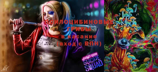молекула духа Нягань