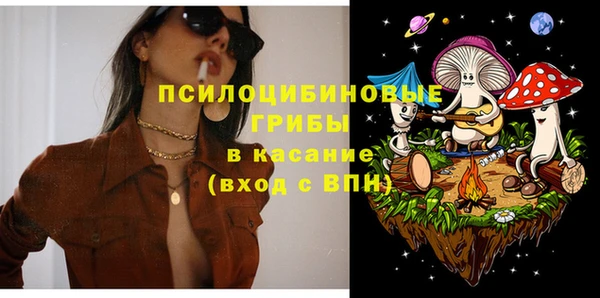 твердый Няндома