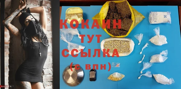 твердый Няндома